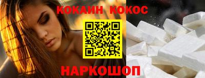шишки Новодвинск