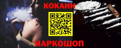 шишки Новодвинск