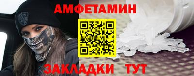 шишки Новодвинск