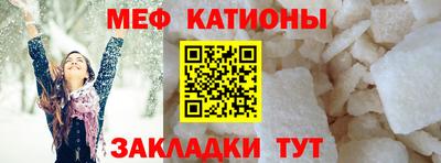 шишки Новодвинск