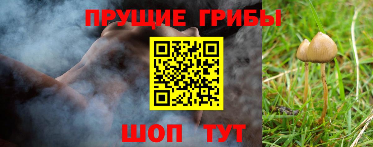 Галлюциногенные грибы Psilocybe Сарапул